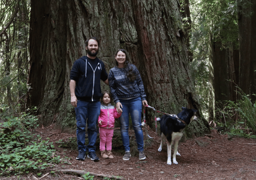 Collective Mind Technologies - Highest Excitement Travel Series - Redwood Forest California